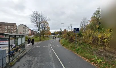 Frihetsvagen