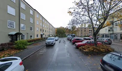 Manadsvagen